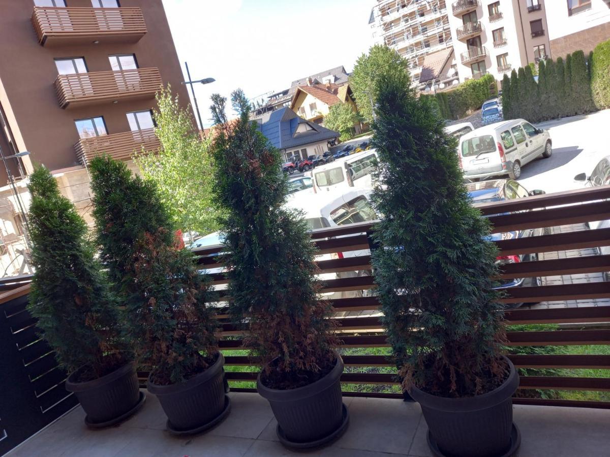 Apartman Oaza Kalman Spa-Gym Zlatibor Exterior foto
